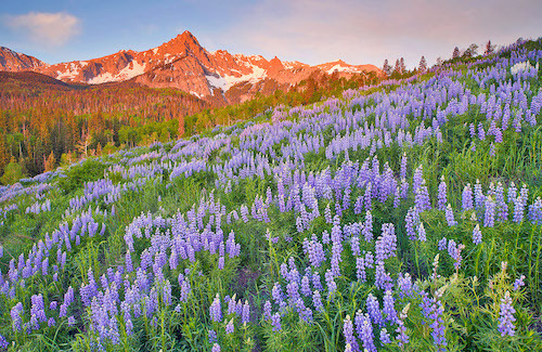 Nature's finest images Ridgway Colorado