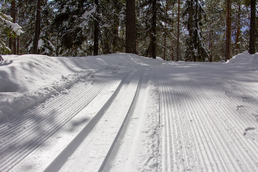 Image for Cross-Country Skiing