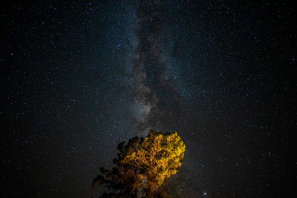 Image by Cutler Connaughton