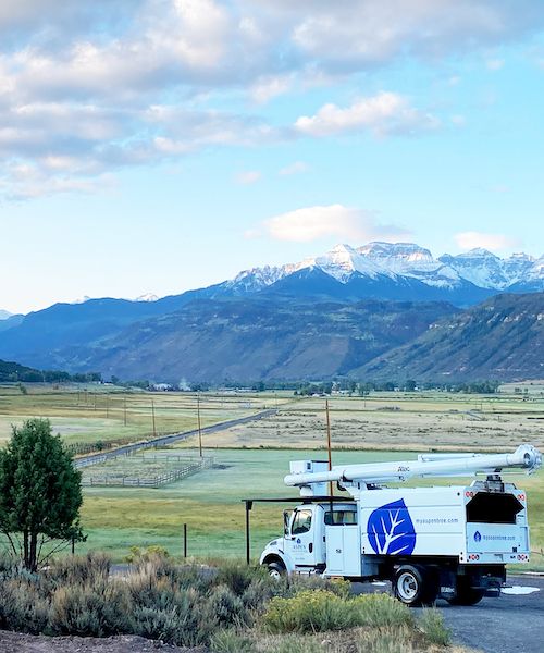 Aspen Tree Service in Ridgway, Colorado