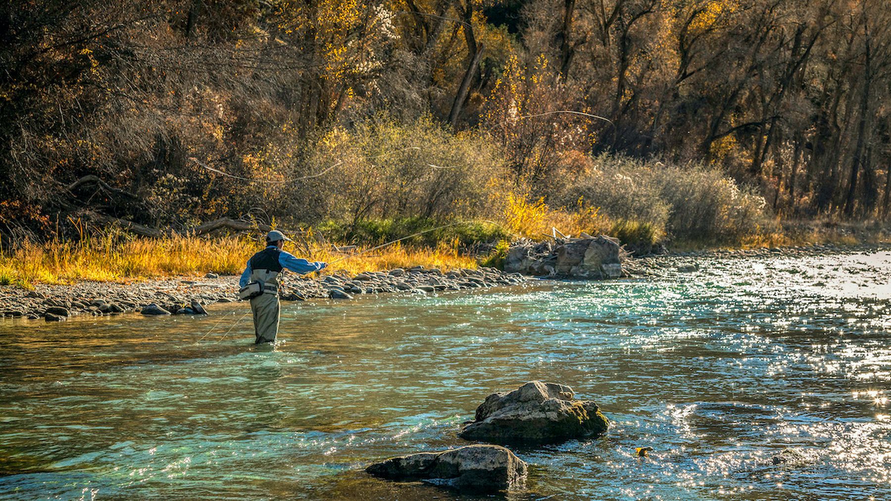 Image of a man fishing