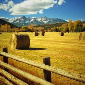 Double D Ranch in Ridgway Colorado