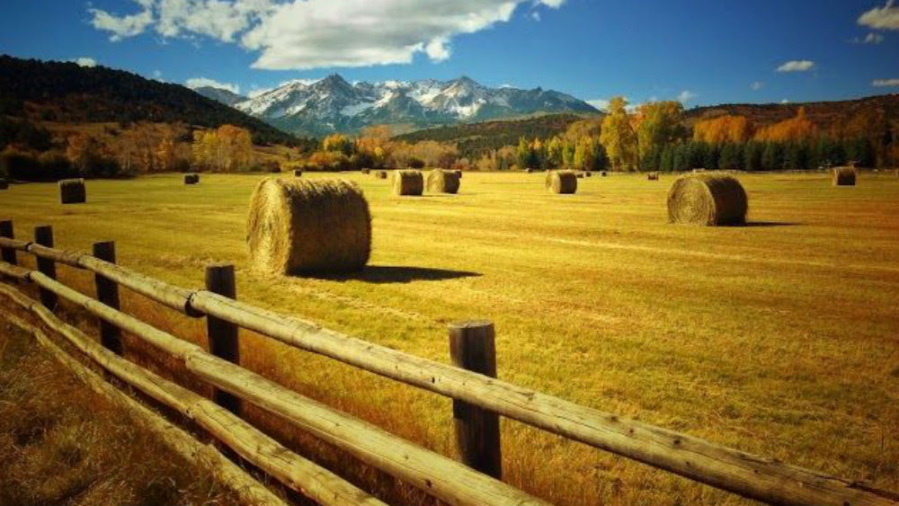 Double D Ranch in Ridgway Colorado