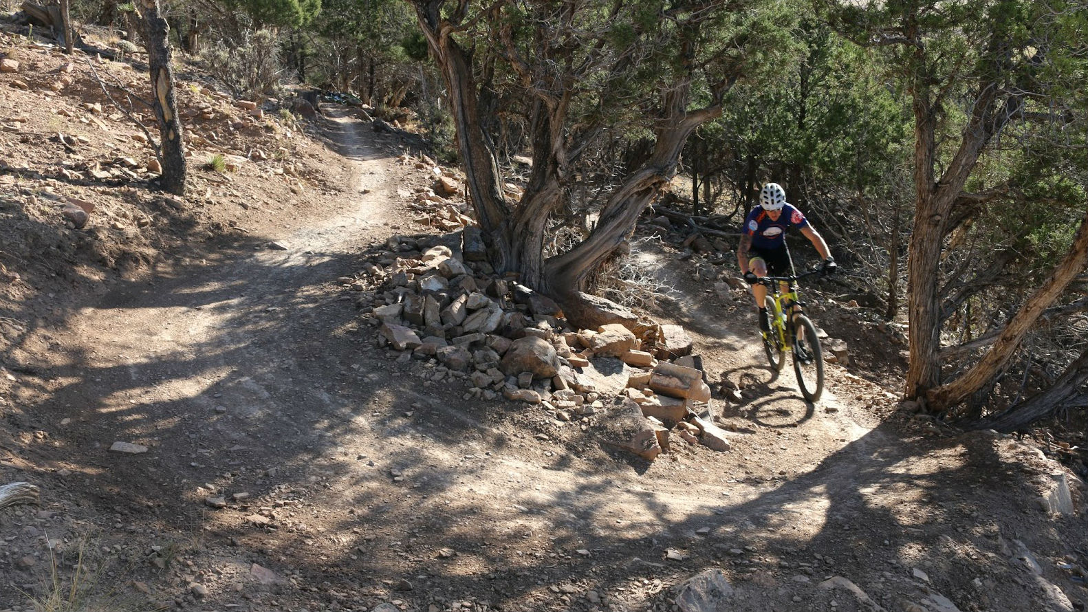 ridgeway mountain bike trail