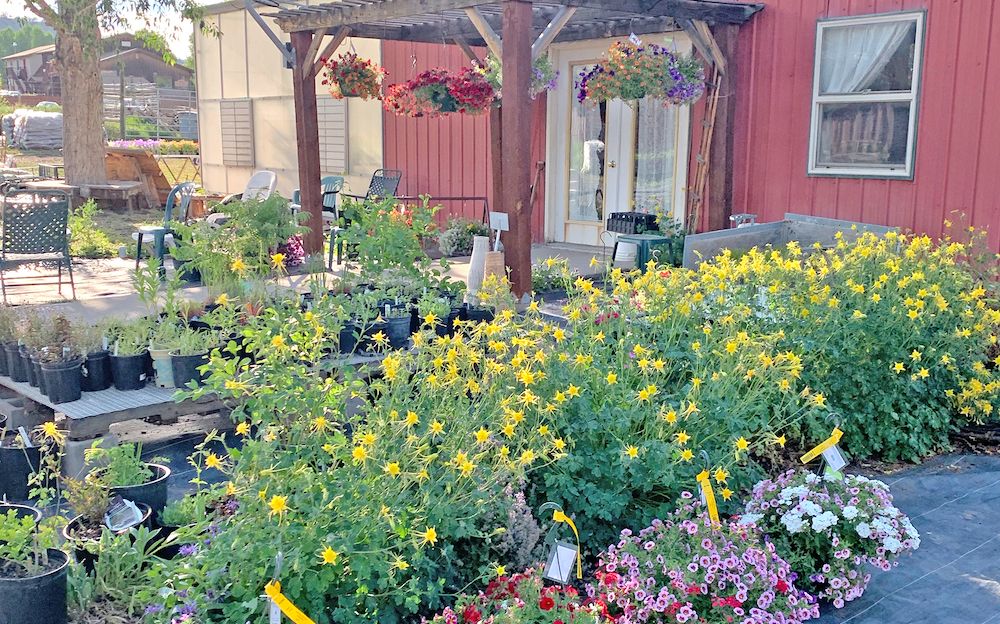 Park Nursery Garden Center managed by Aspen Tree Service