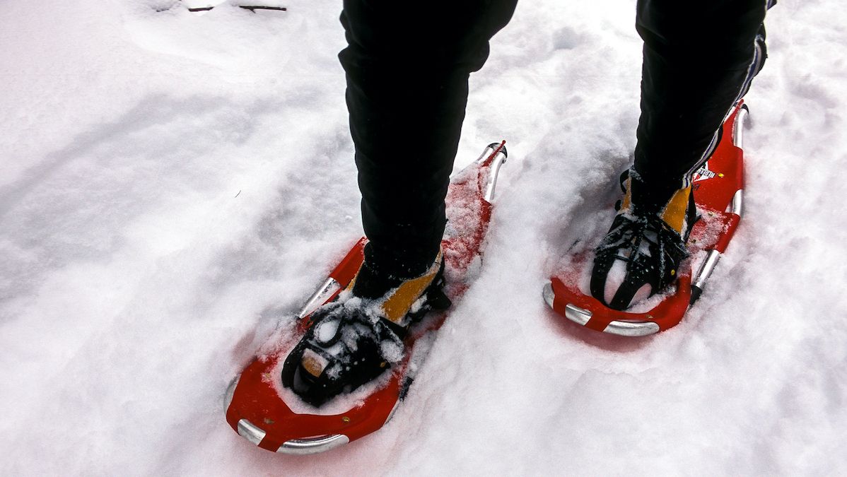 Image of snow shoes