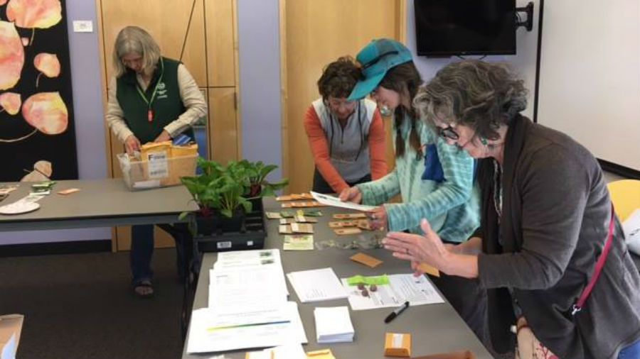 Individuals working at the Ridgway Colorado Seed Library.