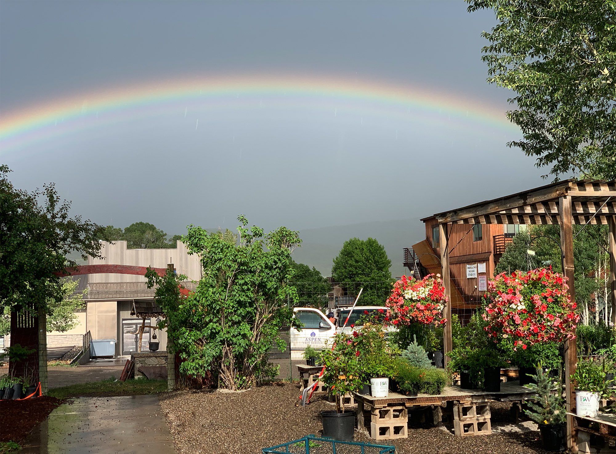 Park Nursery Garden Center managed by Aspen Tree Service