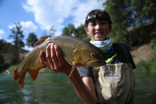 Image of a kid with a fish